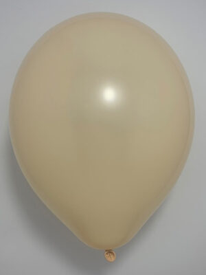 256S - PASTEL SKIN BLUSH